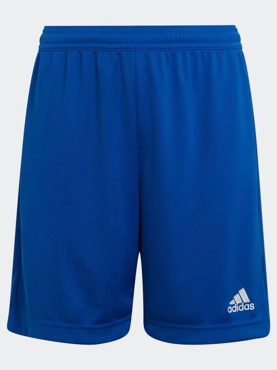 adidas Entrada 22 Shorts Blue Best