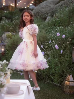 Angel & Rocket Florence Blush Ruffle Sleeve Mesh Dress Pink