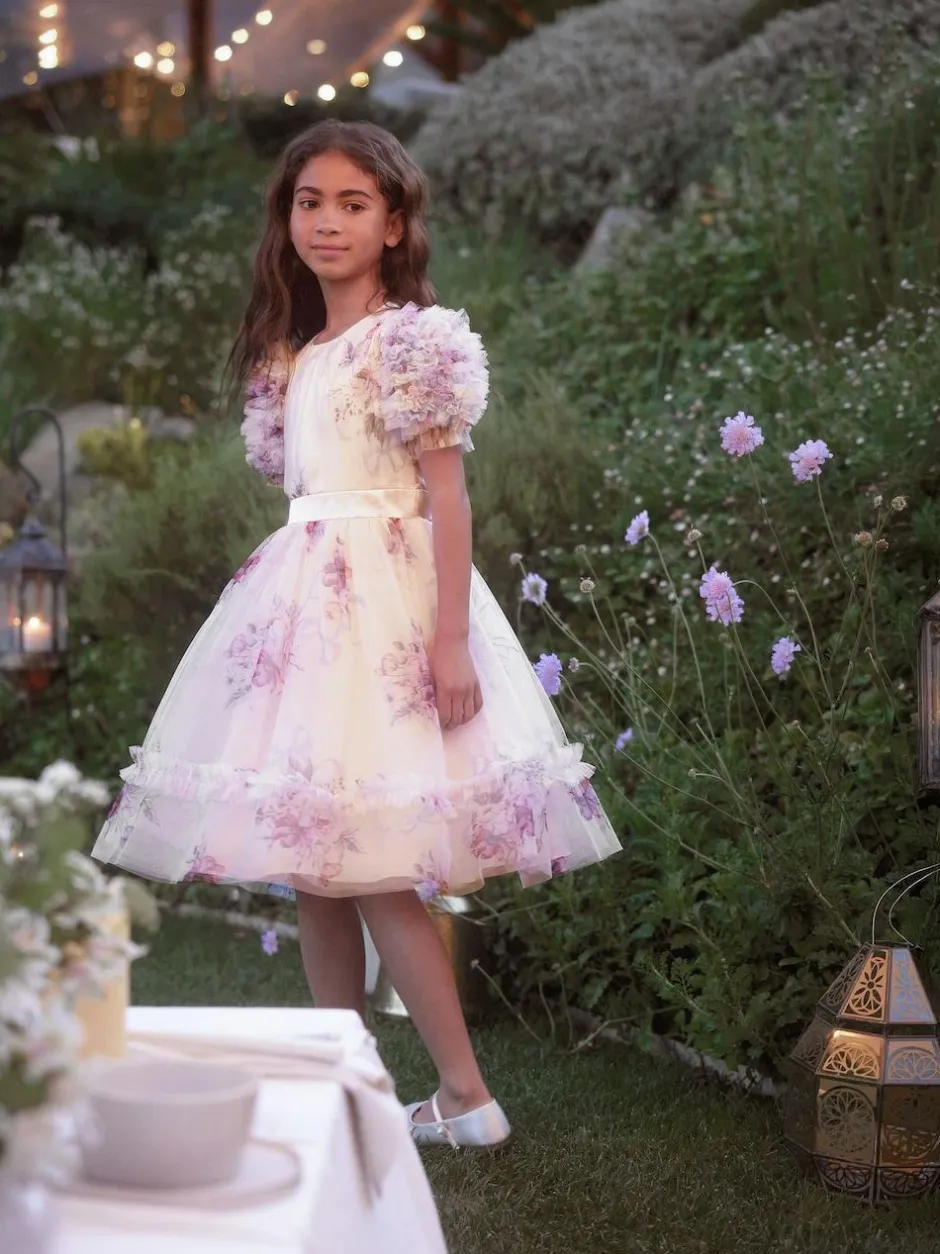 Angel & Rocket Florence Blush Ruffle Sleeve Mesh Dress Pink