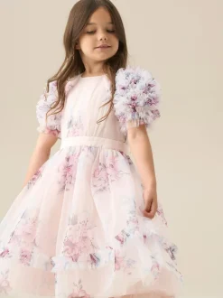 Angel & Rocket Florence Blush Ruffle Sleeve Mesh Dress Pink