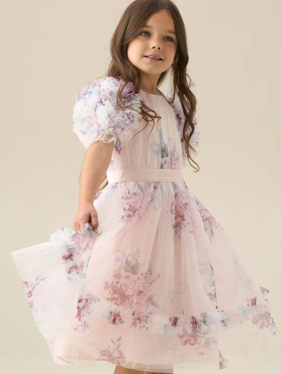 Angel & Rocket Florence Blush Ruffle Sleeve Mesh Dress Pink