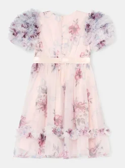 Angel & Rocket Florence Blush Ruffle Sleeve Mesh Dress Pink