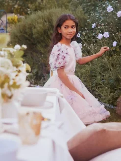Angel & Rocket Florence Blush Ruffle Sleeve Mesh Dress Pink