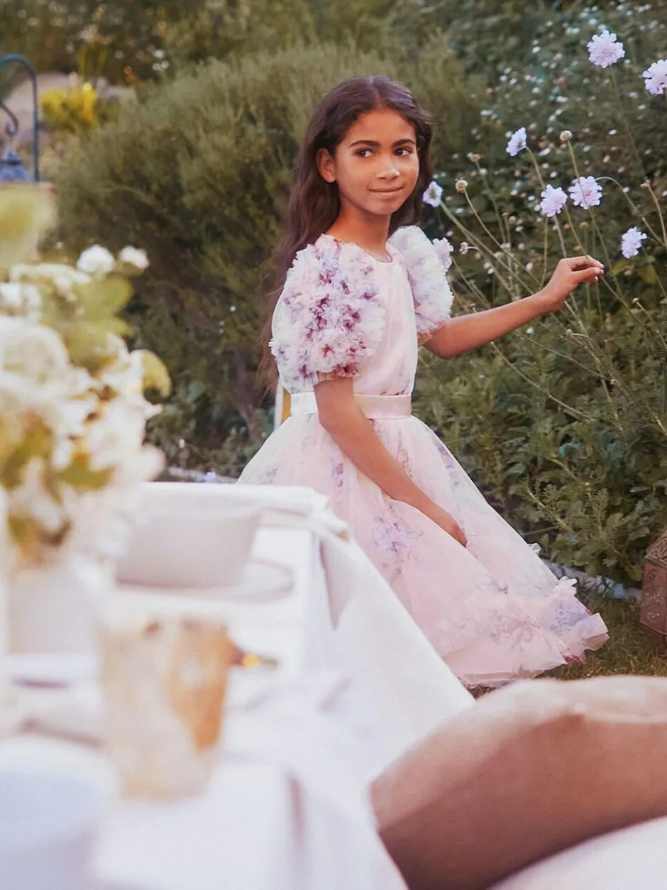 Angel & Rocket Florence Blush Ruffle Sleeve Mesh Dress Pink