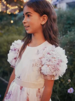 Angel & Rocket Florence Blush Ruffle Sleeve Mesh Dress Pink