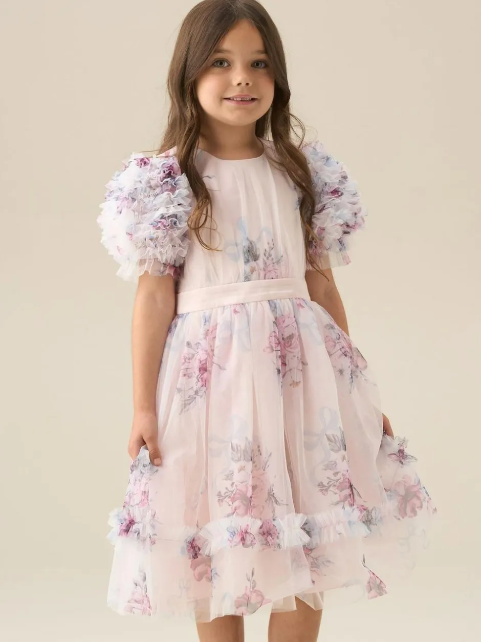 Angel & Rocket Florence Blush Ruffle Sleeve Mesh Dress Pink