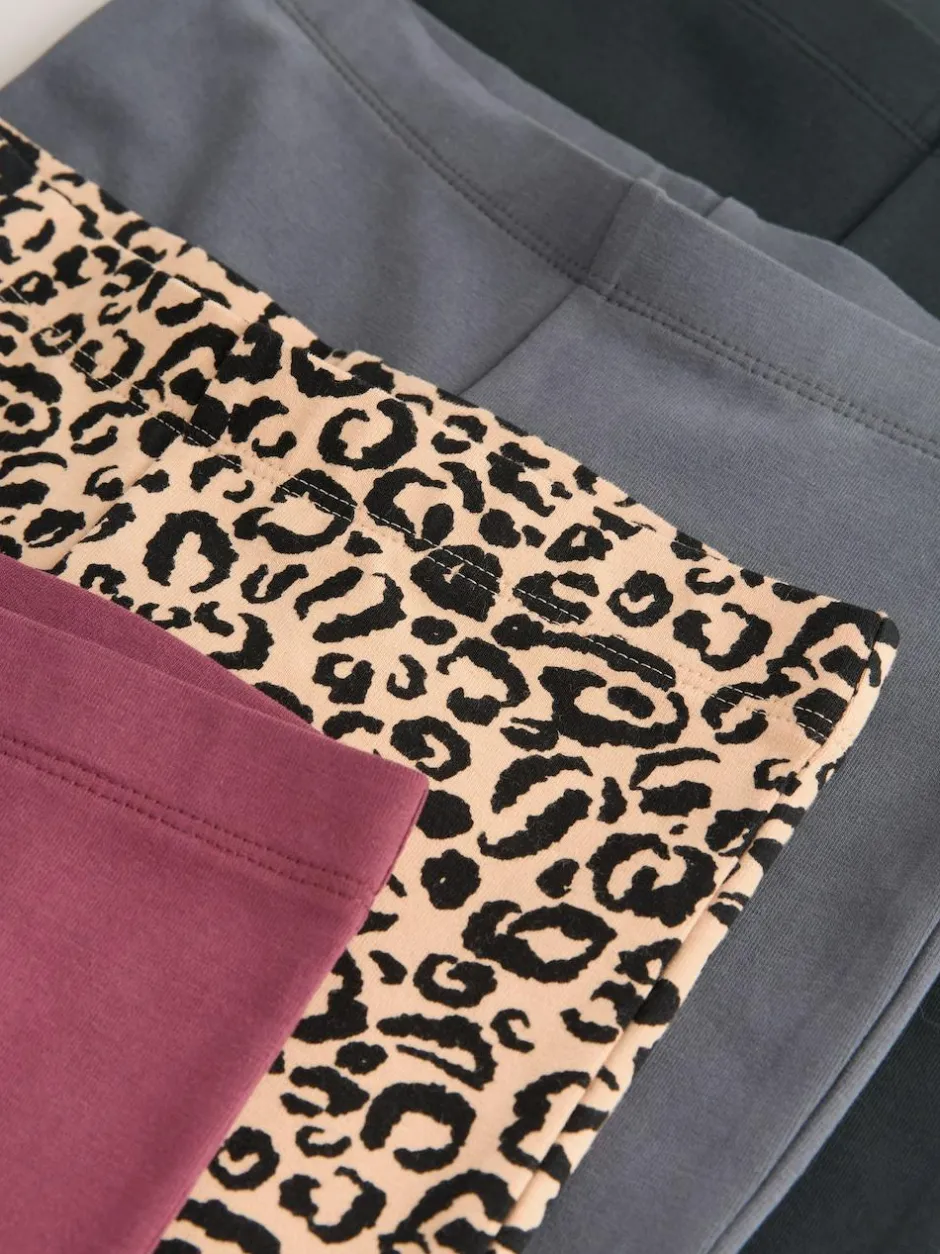 Next 4 Pack Flared Leggings (3-16yrs) Animal/Red Hot