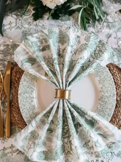 Avalon Home Set of 2 Green Lake District Toile Napkins New