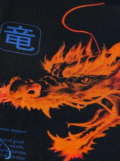 Next Black/Orange Dragon Regular Fit Short Sleeve All-Over Print T-Shirt (3-16yrs) New