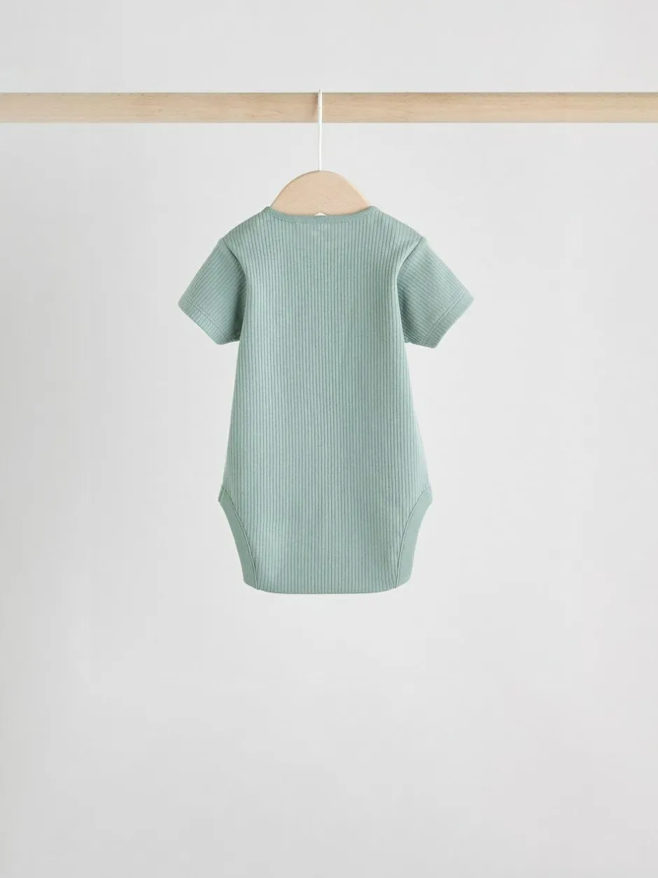 Next Blue Baby Short Sleeve Bodysuits 5 Pack New