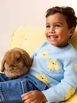 Next Knitted Crew Neck Jumper (3mths-7yrs) Blue Chick Outlet