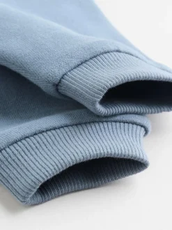 Next Baby Sweatshirt and Leggings Set (0mths-3yrs) Blue Dino