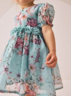 Next Flower Corsage Dress (3mths-8yrs) Blue New