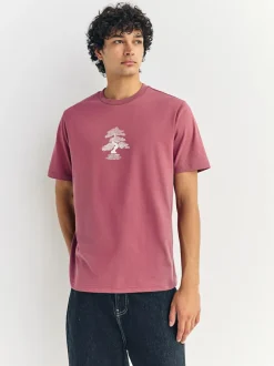 Next Blue/Green/Pink Regular Fit Graphic Print T-Shirts 3 Pack New