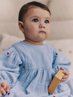 Next Blue/Red Baby Long Sleeve Embroidered Dress (0mths-2yrs)