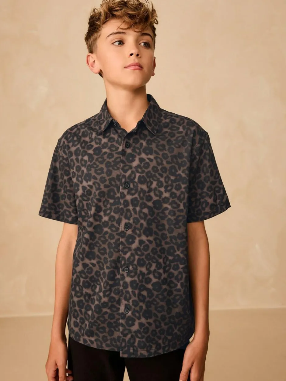 Next Brown Animal Print Short Sleeve Printed Shirt (3-16yrs) New