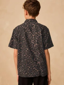 Next Brown Animal Print Short Sleeve Printed Shirt (3-16yrs) New