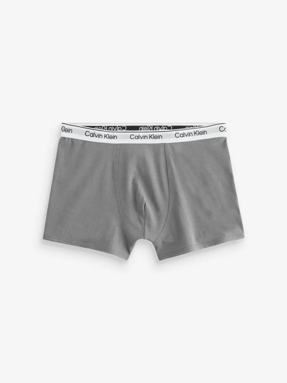 Calvin Klein Trunks 3 Pack Grey Online