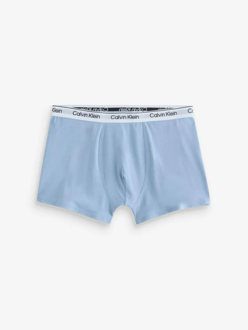 Calvin Klein Trunks 3 Pack Grey Online