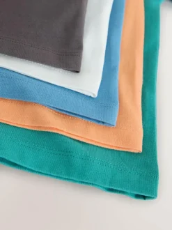 Next Charcoal/White/Blue/Orange/Green Short Sleeve T-Shirts 5 Pack (3mths-7yrs) Best