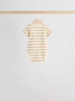 Next Chocolate Brown Baby Short Sleeve Bodysuits 5 Pack Sale