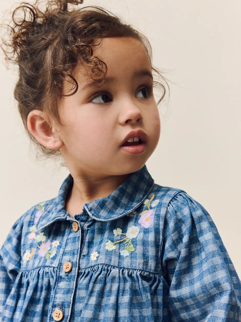 Next Long Sleeve Collar Dress (3mths-8yrs) Denim Check Embroidered Online