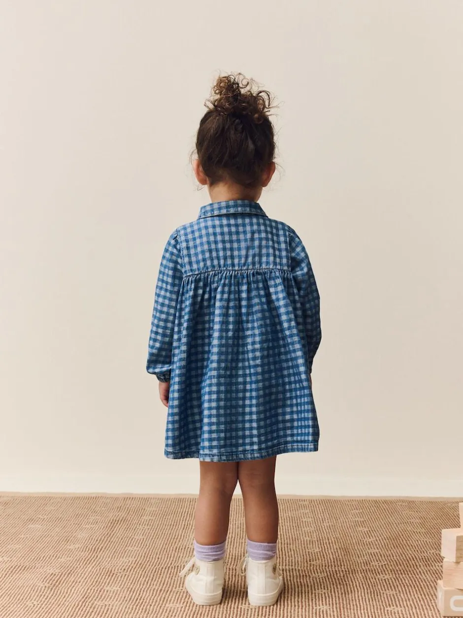 Next Long Sleeve Collar Dress (3mths-8yrs) Denim Check Embroidered Online