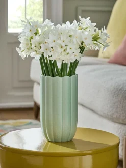 Next Green Ceramic Scallop Detail Small Vase Discount