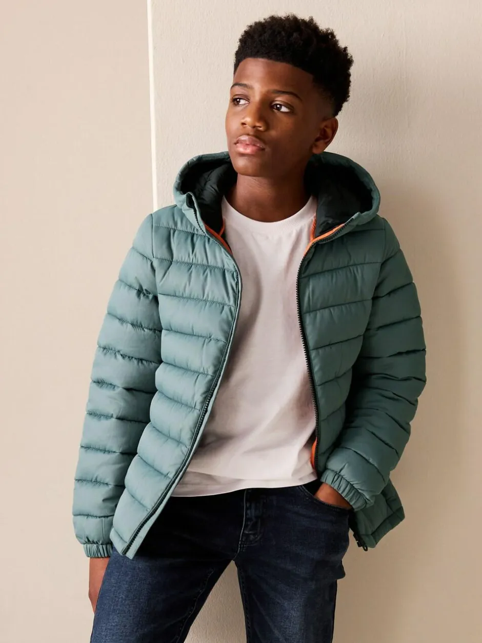 Next Green Quilted Midweight Hooded Jacket (3-16yrs) Online
