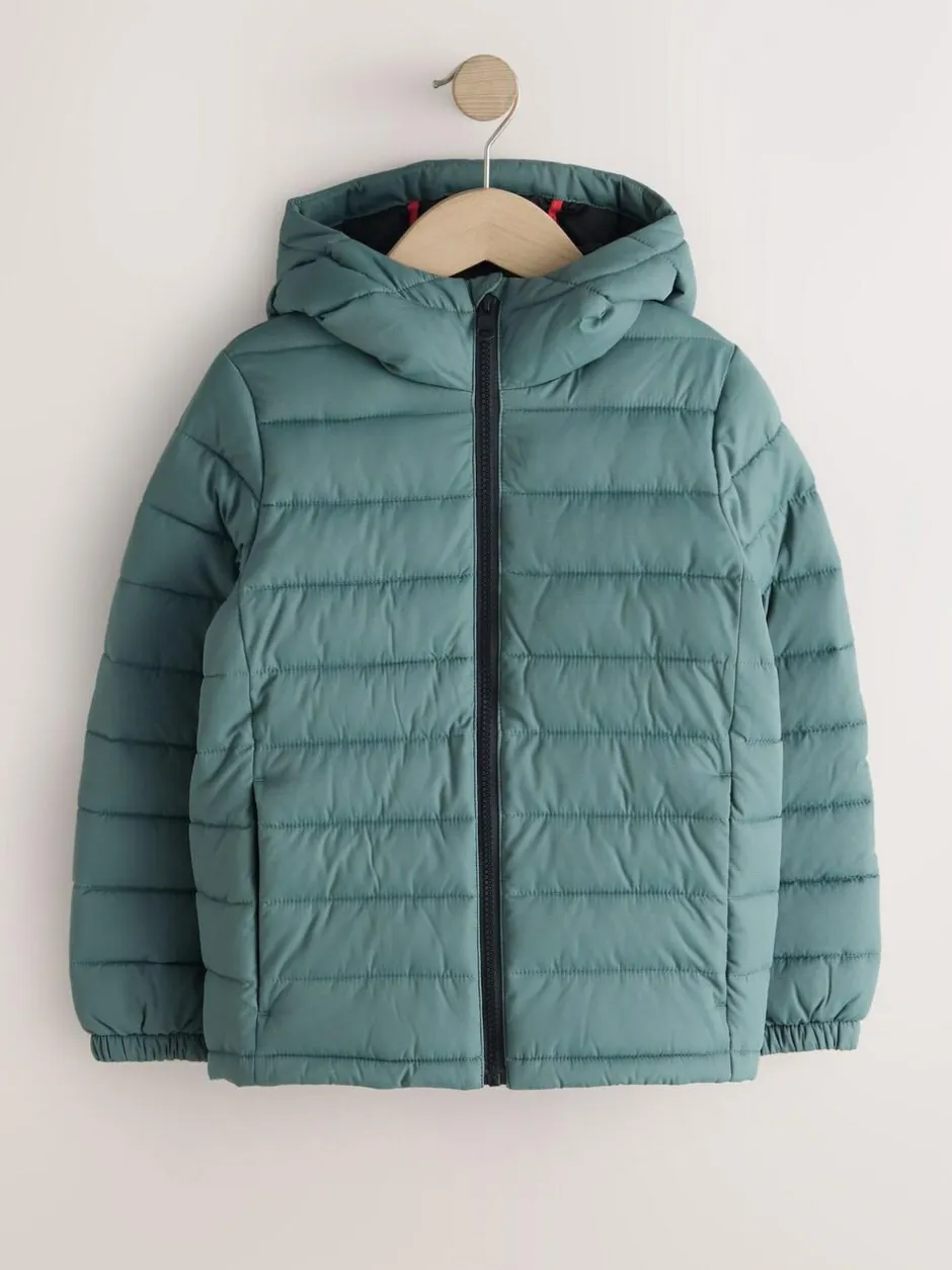 Next Green Quilted Midweight Hooded Jacket (3-16yrs) Online