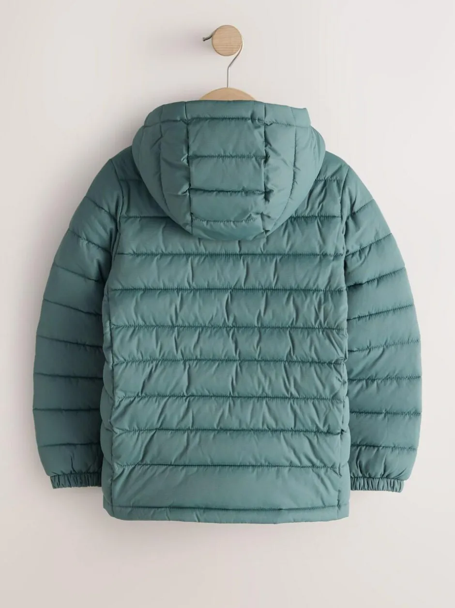 Next Green Quilted Midweight Hooded Jacket (3-16yrs) Online