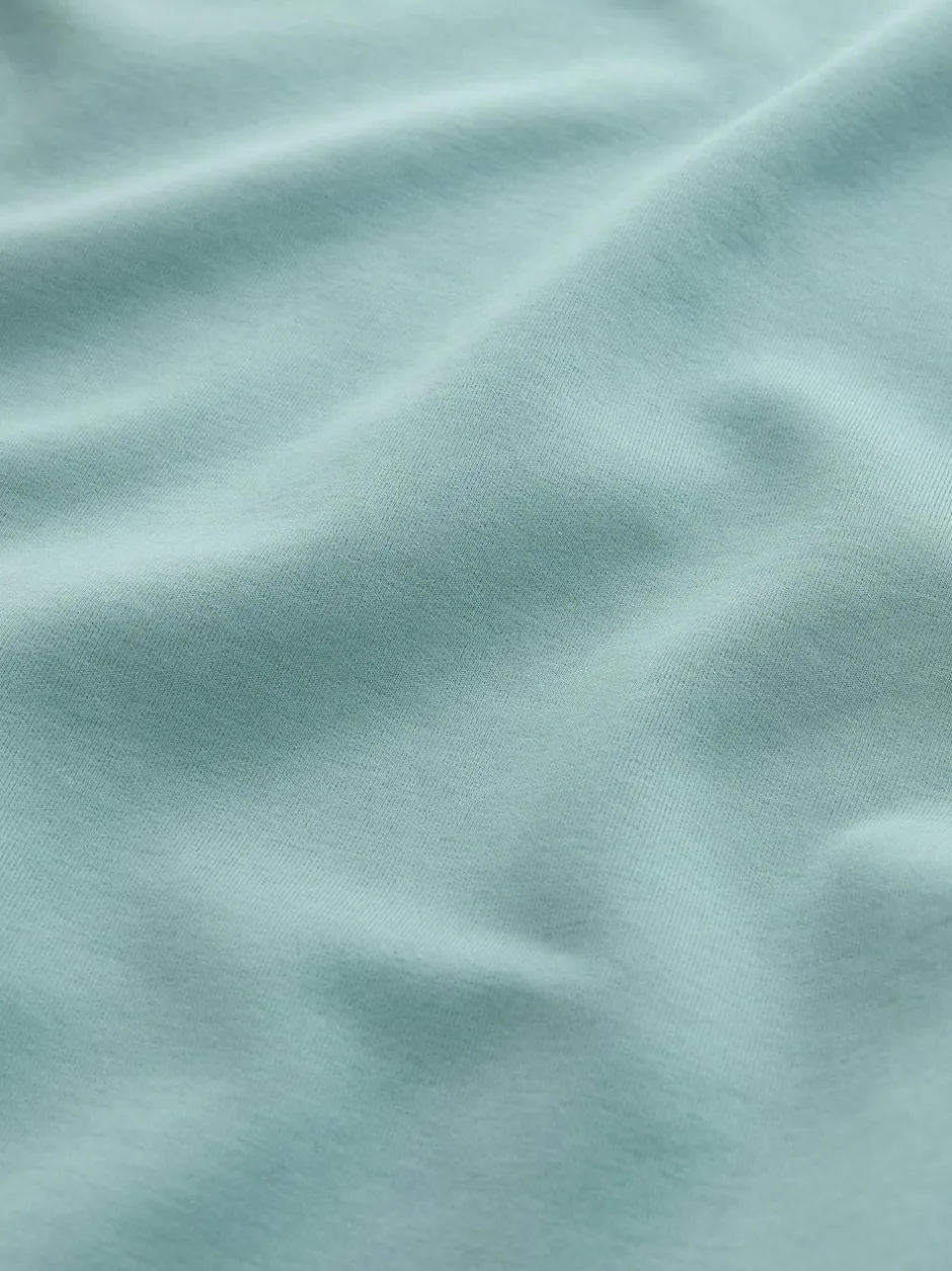 Next Green Sage Regular Fit Smart Soft Touch Heavyweight T-Shirt