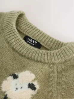 Next Knitted Crew Neck Jumper (3mths-7yrs) Green Sheep Online