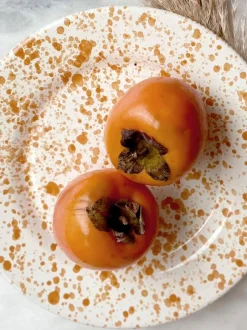 Hot Pottery Set of 4 Splatter Dinner Plates Burnt Orange Clearance