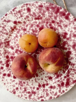 Hot Pottery Set of 4 Splatter Dinner Plates Cranberry Best