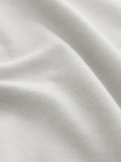 Next Ice Grey Regular Fit Heavyweight T-Shirt