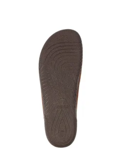 Lazy Dogz Blue Tees II Slip On Mule Slippers Brown Best