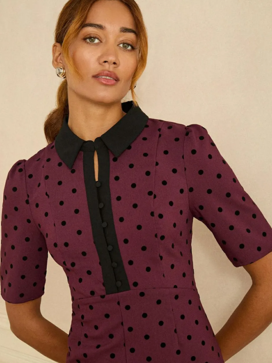 Love & Roses Burgundy Red Flocked Spot Short Sleeve Midi Dress Hot
