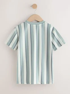 Next Mineral Stripe Regular Fit Short Sleeve Graphic Print T-Shirt (3-16yrs) Outlet
