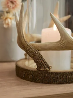 Next Natural Antler Hurricane Candle Holder New