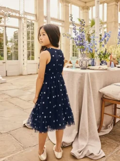 Next Flower Corsage Mesh Occasion Dress (3-16yrs) Navy Spot Sale