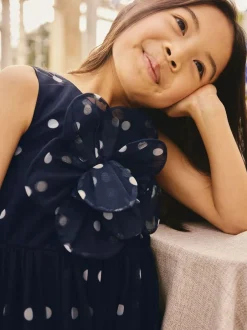 Next Flower Corsage Mesh Occasion Dress (3-16yrs) Navy Spot Sale