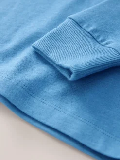 Next Pale Blue Regular Fit Long Sleeve Cosy T-Shirt (3-16yrs) Online