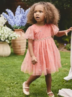 Next Embroidered Mesh Dress (3mths-8yrs) Peach Pink Discount