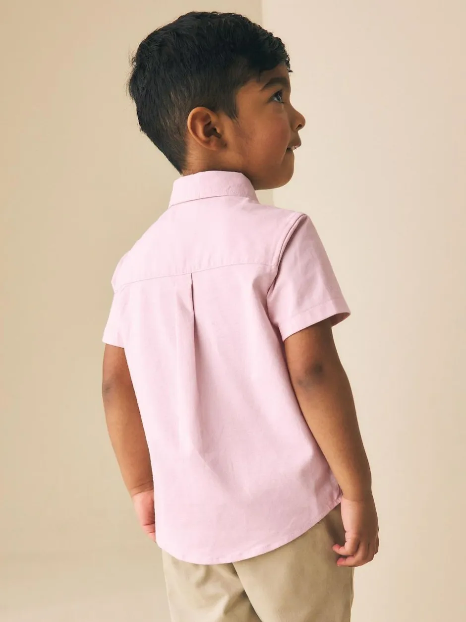 Next Short Sleeve Long Sleeve Oxford Shirt (3mths-7yrs) Pink Stripe Character