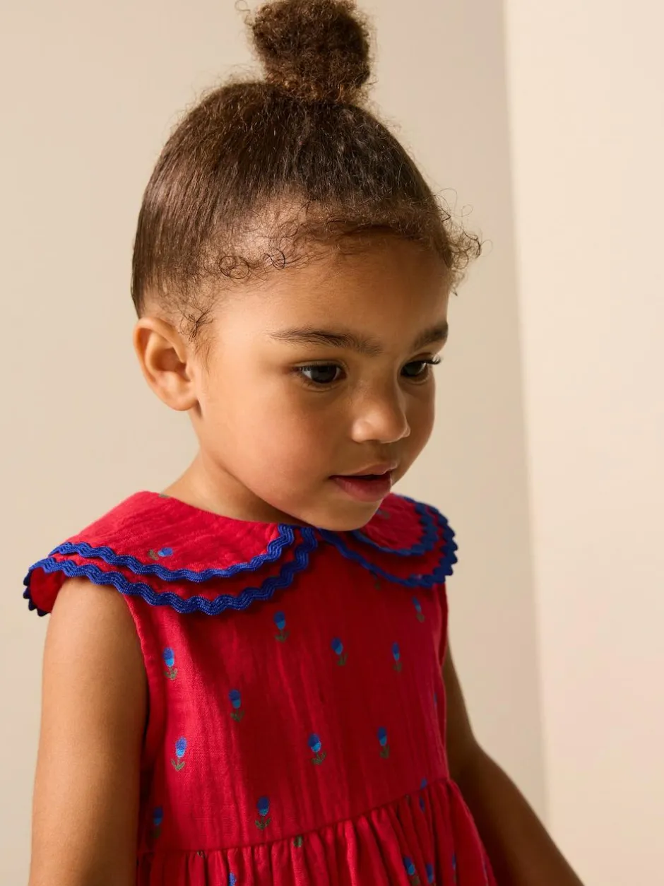 Next Ric Rac Collar Dress (3mths-8yrs) Red Ditsy Online