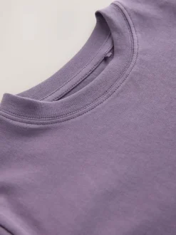 Next Soft Purple Regular Fit Short Sleeve T-Shirt (3-16yrs) Hot