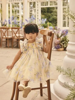 Next Ruffle Shoulder Mesh Dress (3mths-7yrs) Yellow