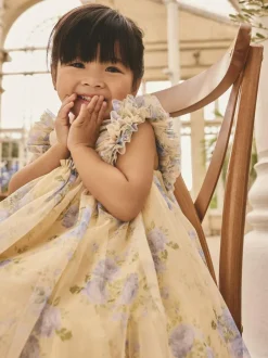Next Ruffle Shoulder Mesh Dress (3mths-7yrs) Yellow